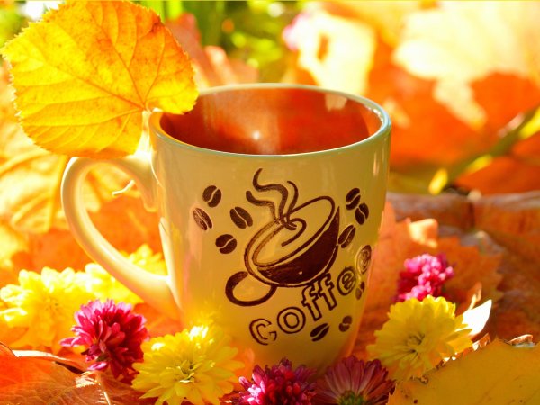 Осенний кофе