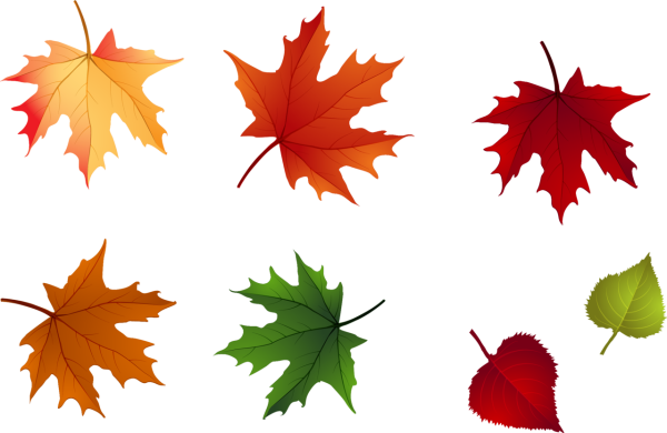 Осенние листья