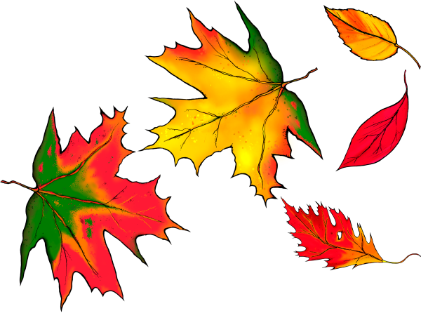 Разноцветные листья на прозрачном фоне
