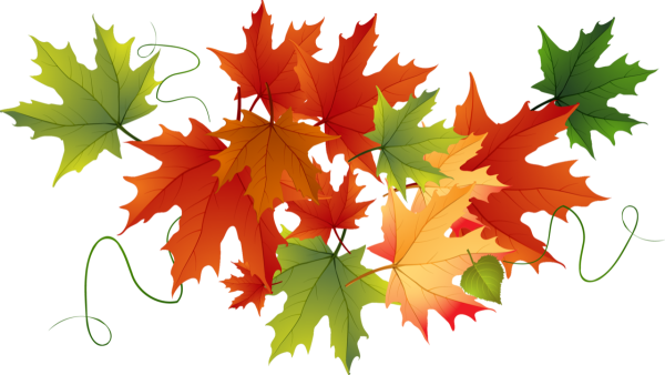 Осенние листья на прозрачном фоне