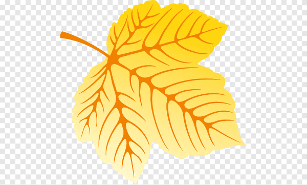 Осенние листья рисунок