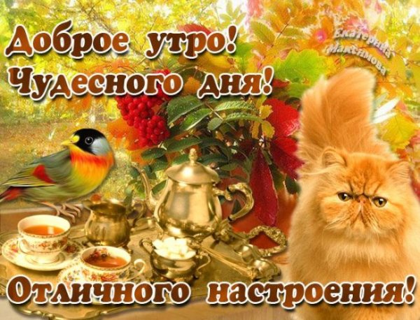 Прекрасного осеннего воскресного дня и отличного настроения