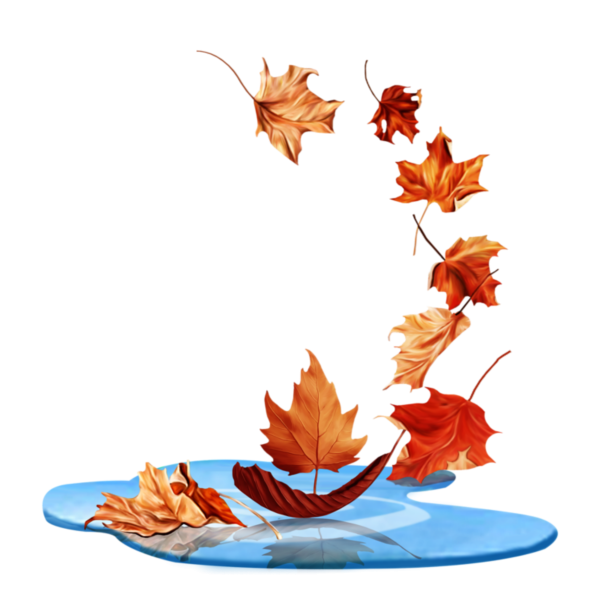 Осенний клипарт на прозрачном фоне