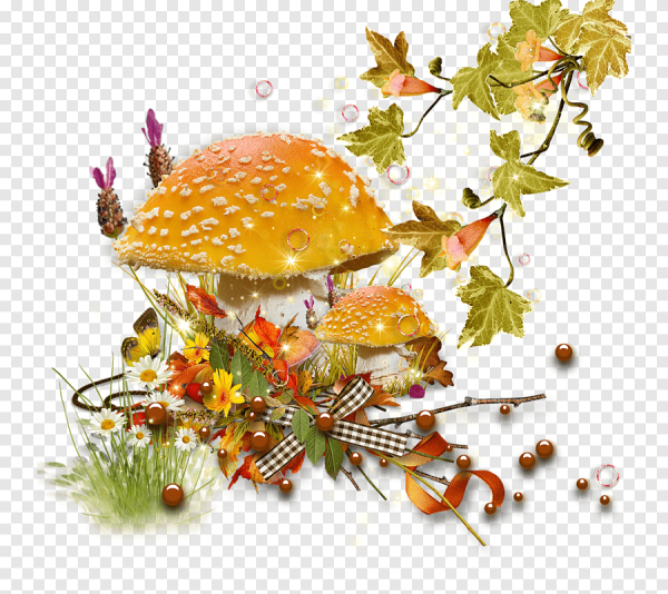 Осенний клипарт