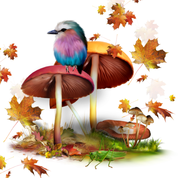 Осенний клипарт