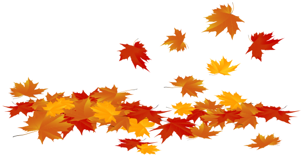 Осень листья на прозрачном фоне