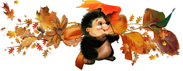 Осенний клипарт на прозрачном фоне