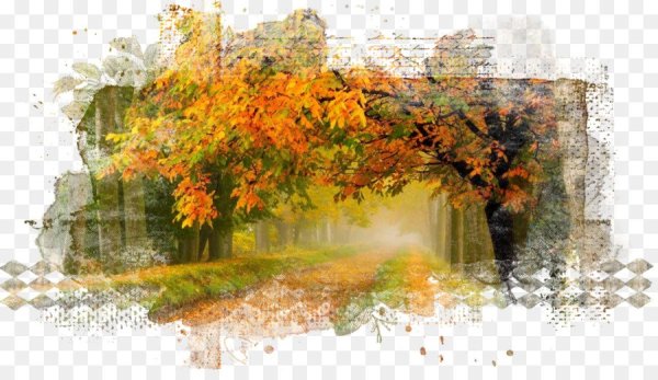 Осенний пейзаж на прозрачном фоне