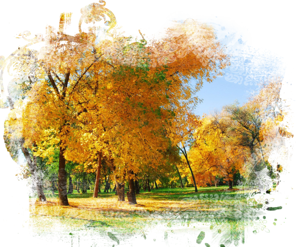 Осень на белом фоне