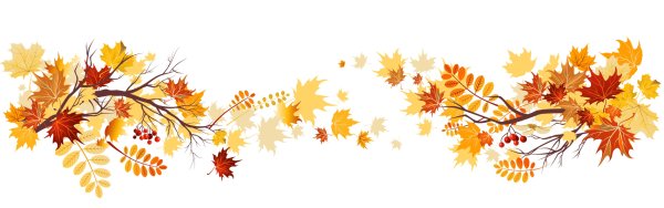 Осенние узоры на прозрачном фоне