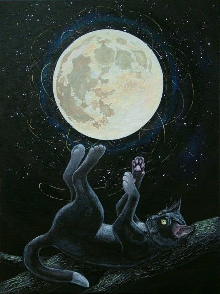 Кошка под луной