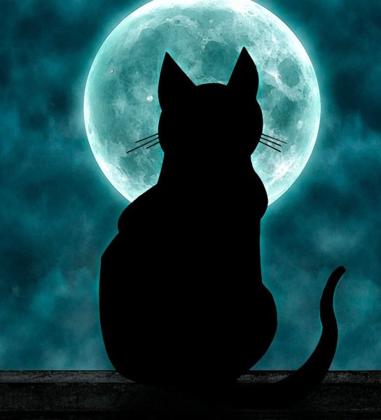 Кошка Луна