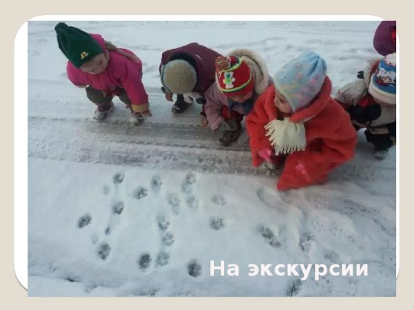 Наблюдения с детьми на прогулке зимой