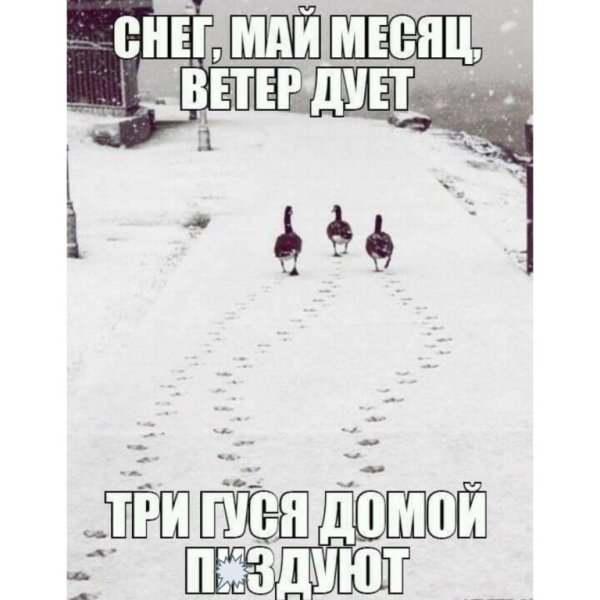 Снег в мае приколы