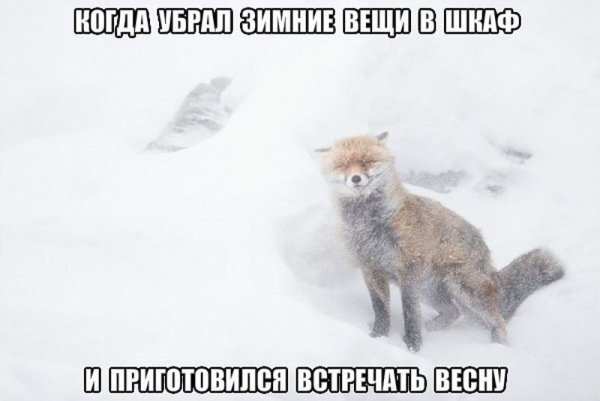 Хочется уже снять свои зимние Бомжатские шмотки