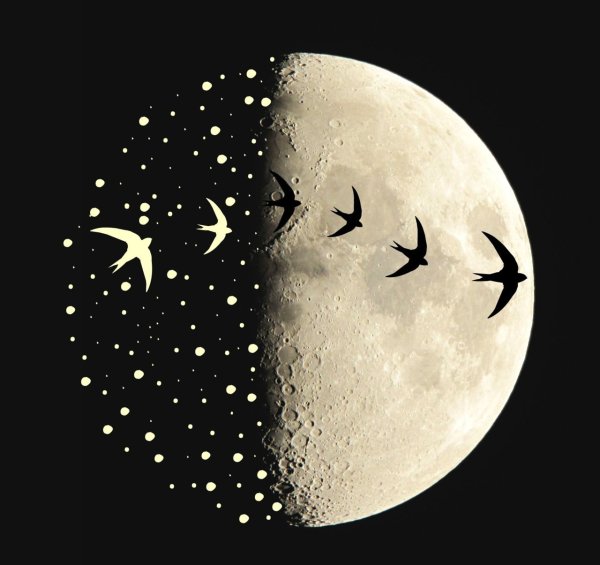 Луна рисовать