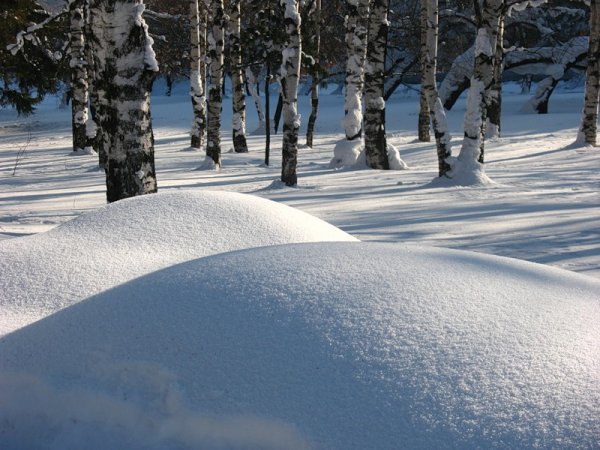 Снег сугробы
