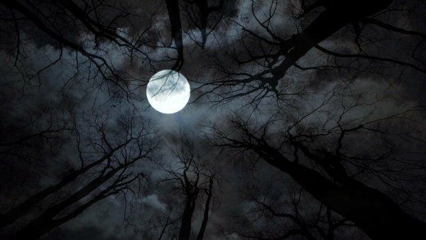 Страшное полнолуние