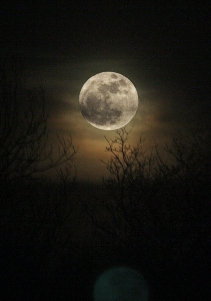 Страшное полнолуние