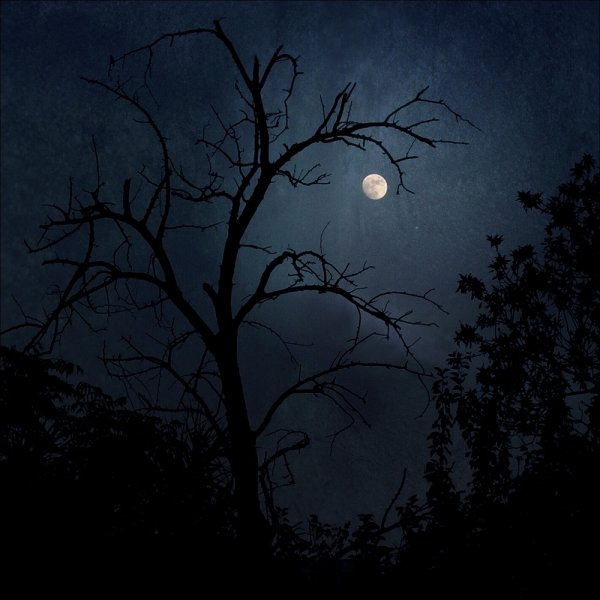 Страшная ночь