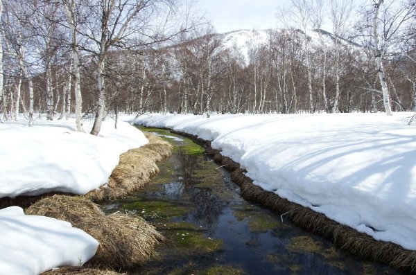 Тает снег весной