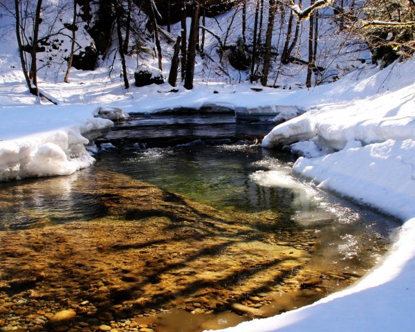 Таяние снегов 2009 картинки