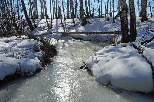 Бегут ручьи