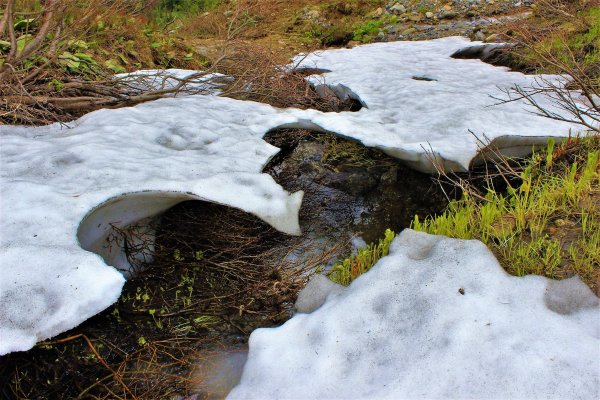 Последний снег