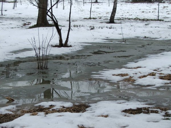 Василиса вешней воды указательница 23 марта