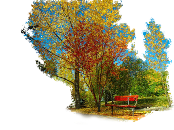 Осень на прозрачном фоне