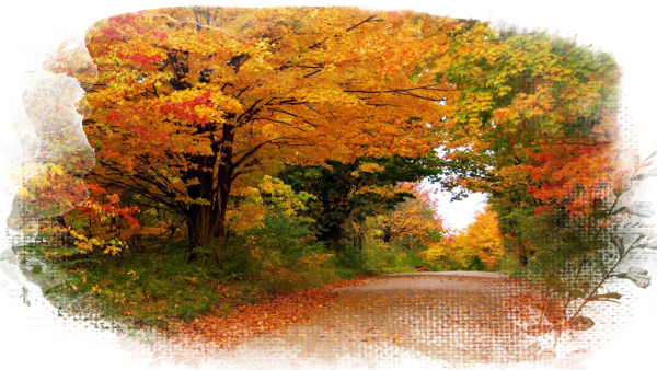 Осенний пейзаж на прозрачном фоне