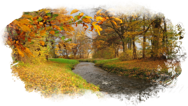 Осенняя природа на прозрачном фоне