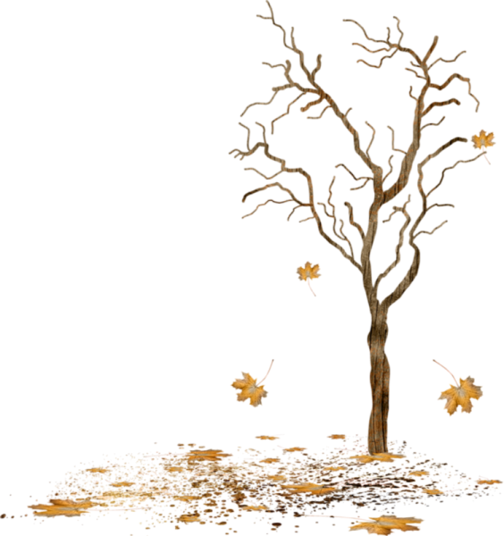 Осеннее дерево клипарт на прозрачном фоне