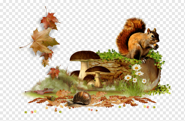Осенние животные на прозрачном фоне