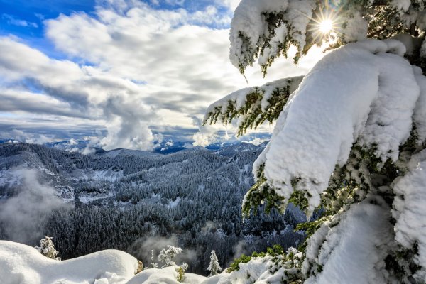 Зимняя панорама