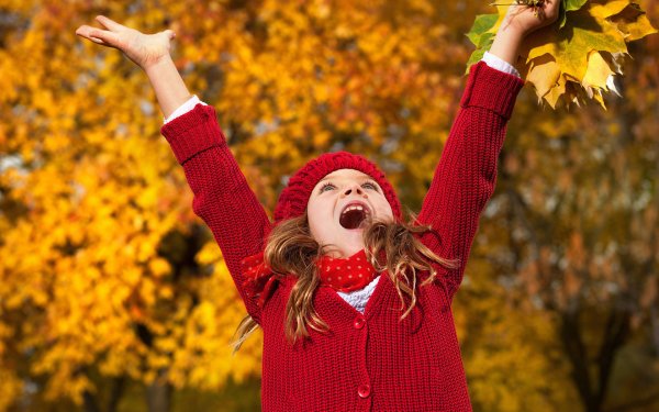 Фото каникулы осень у компа