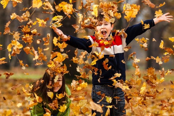 Идеи на осенние каникулы для детей в Москве и близлежащих городах
