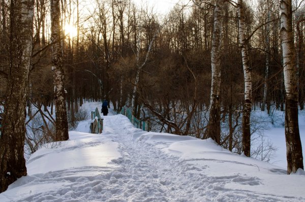 Первый снег Брюсова