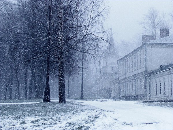 Первый снег Брюсова