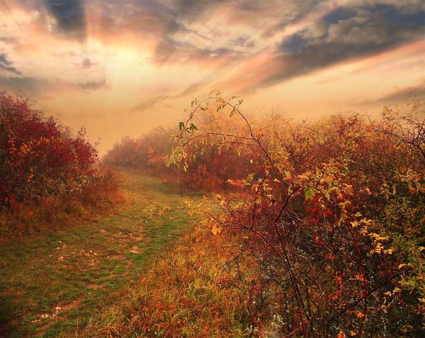 Осенний мотив