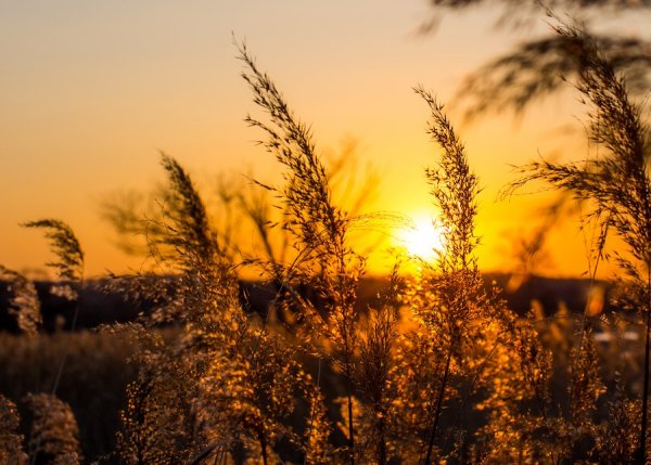 Осенний рассвет