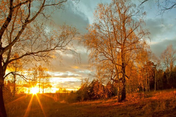 Осенний рассвет