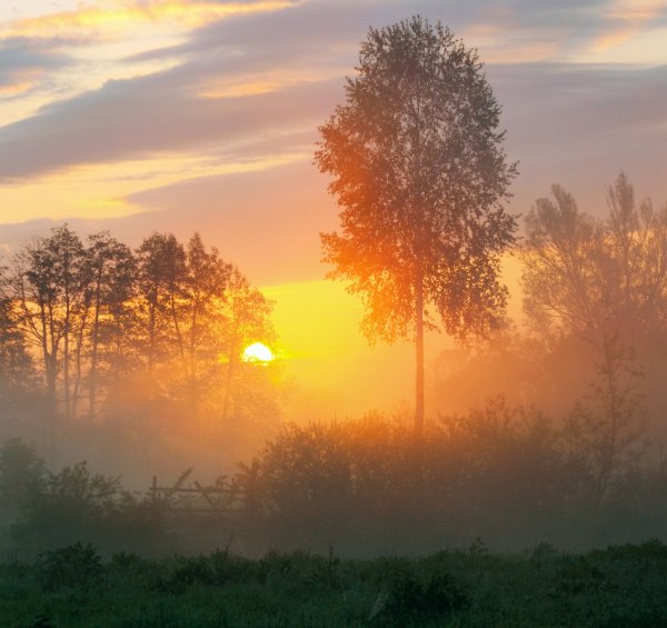 Раннее утро в деревне