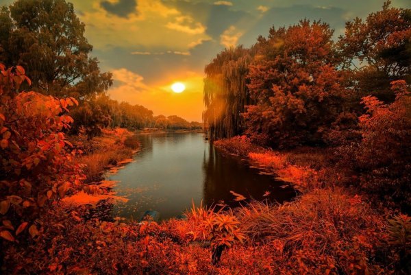 Осень рассвет