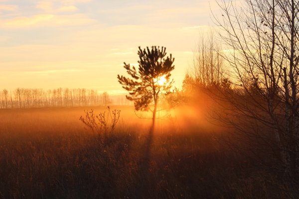 Осенний рассвет