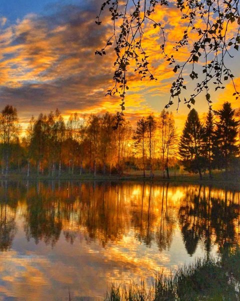 Осенний рассвет