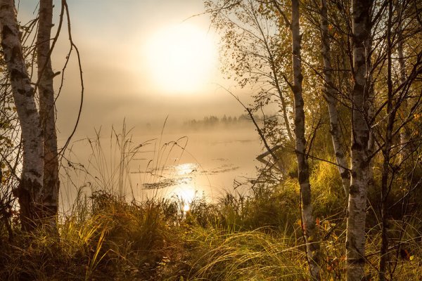Фотограф природы России