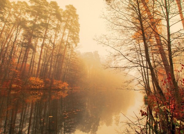 Осеннее утро