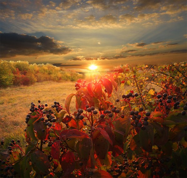 Прекрасный осенний рассвет