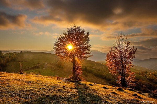 Вечность природа